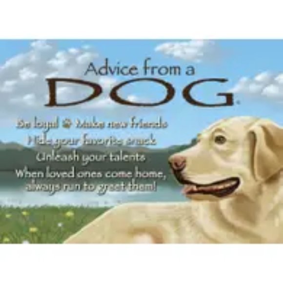 Adorable Advice Magnets- BNI - Picture 1 of 6